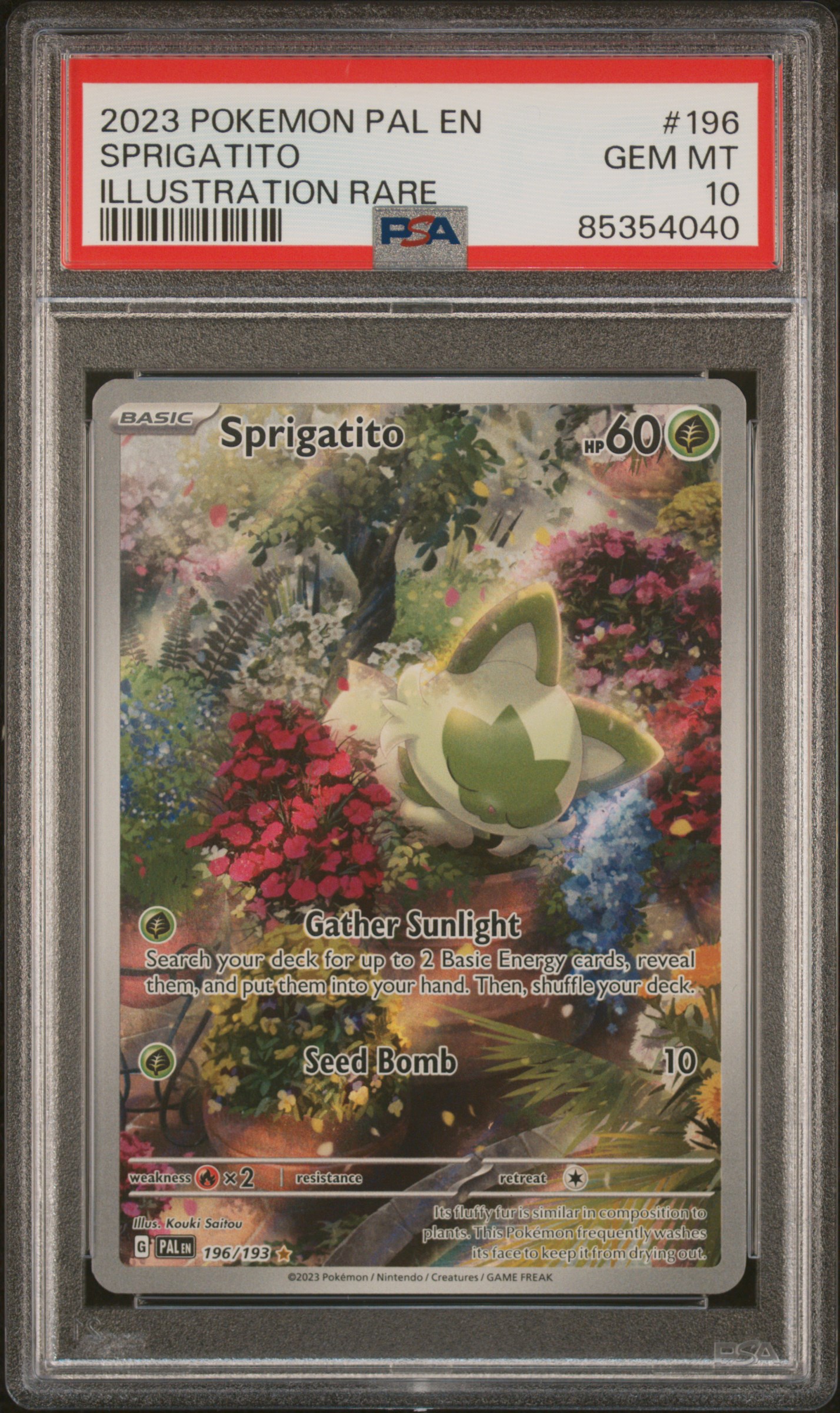 2023 POKEMON PAL EN-PALDEA EVOLVED #196 SPRIGATITO ILLUSTRATION RARE