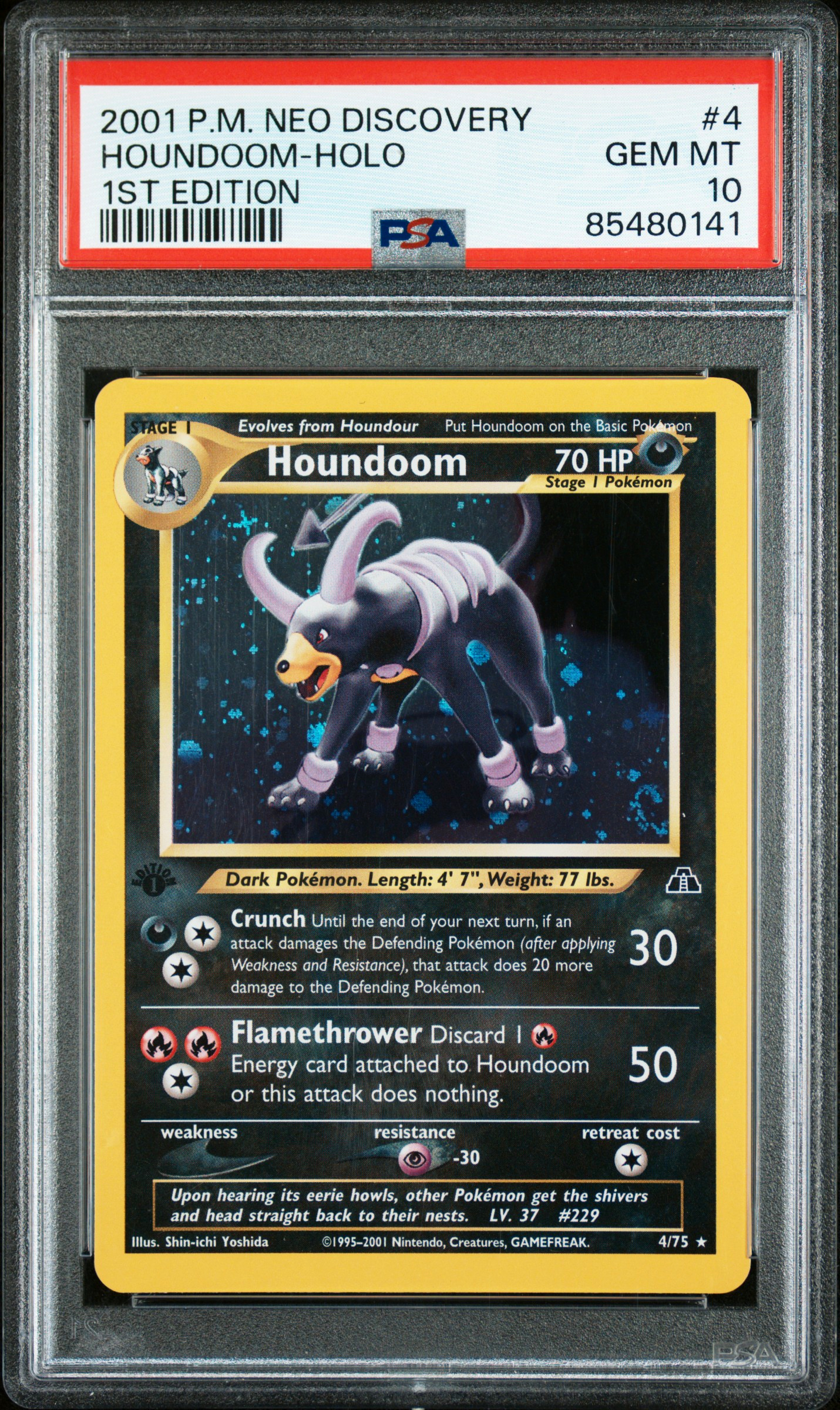Houndoom #4
