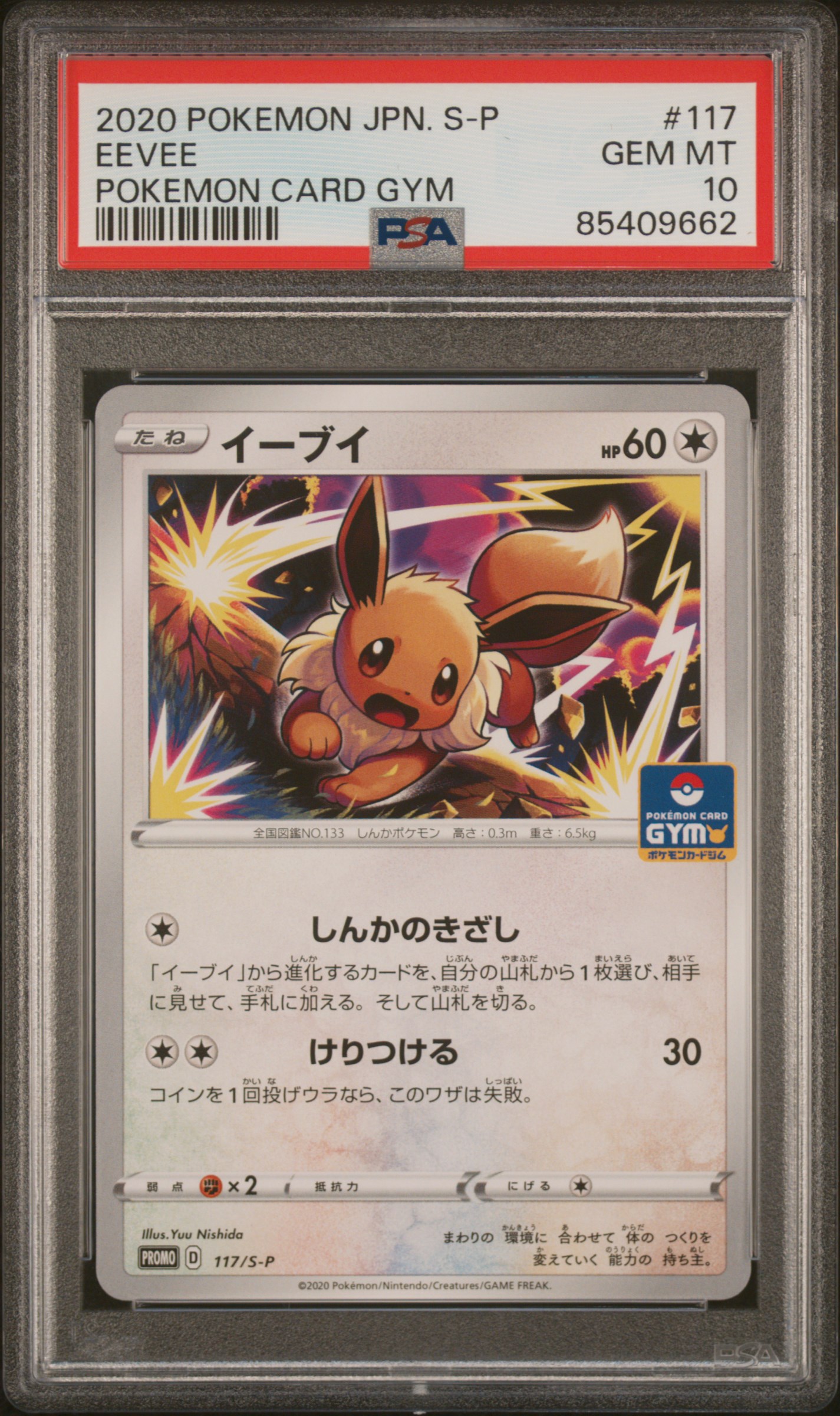 2020 POKEMON JAPANESE S PROMO #117 EEVEE POKEMON CARD GYM