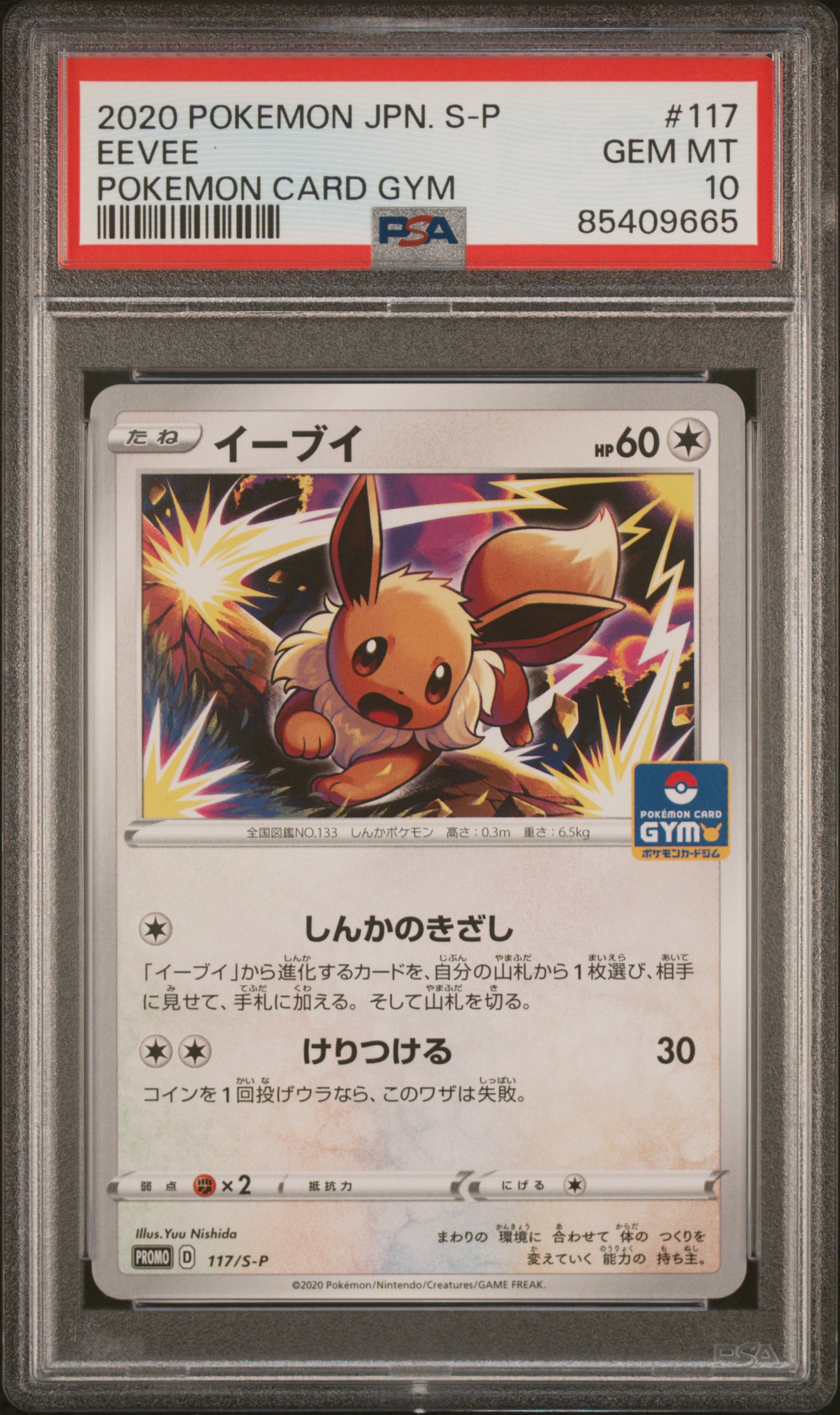 2020 POKEMON JAPANESE S PROMO #117 EEVEE POKEMON CARD GYM