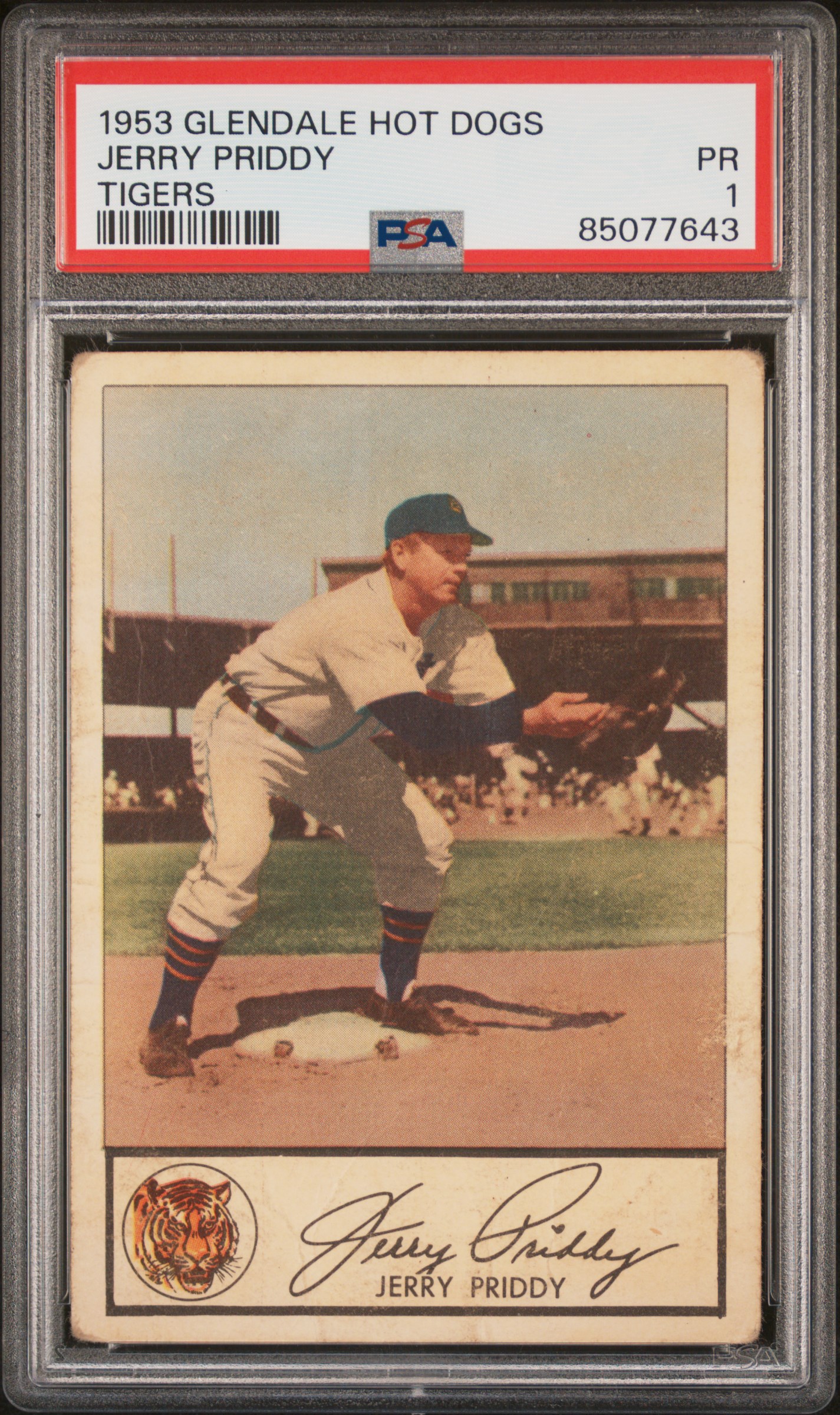 1953 GLENDALE HOT DOGS TIGERS JERRY PRIDDY TIGERS