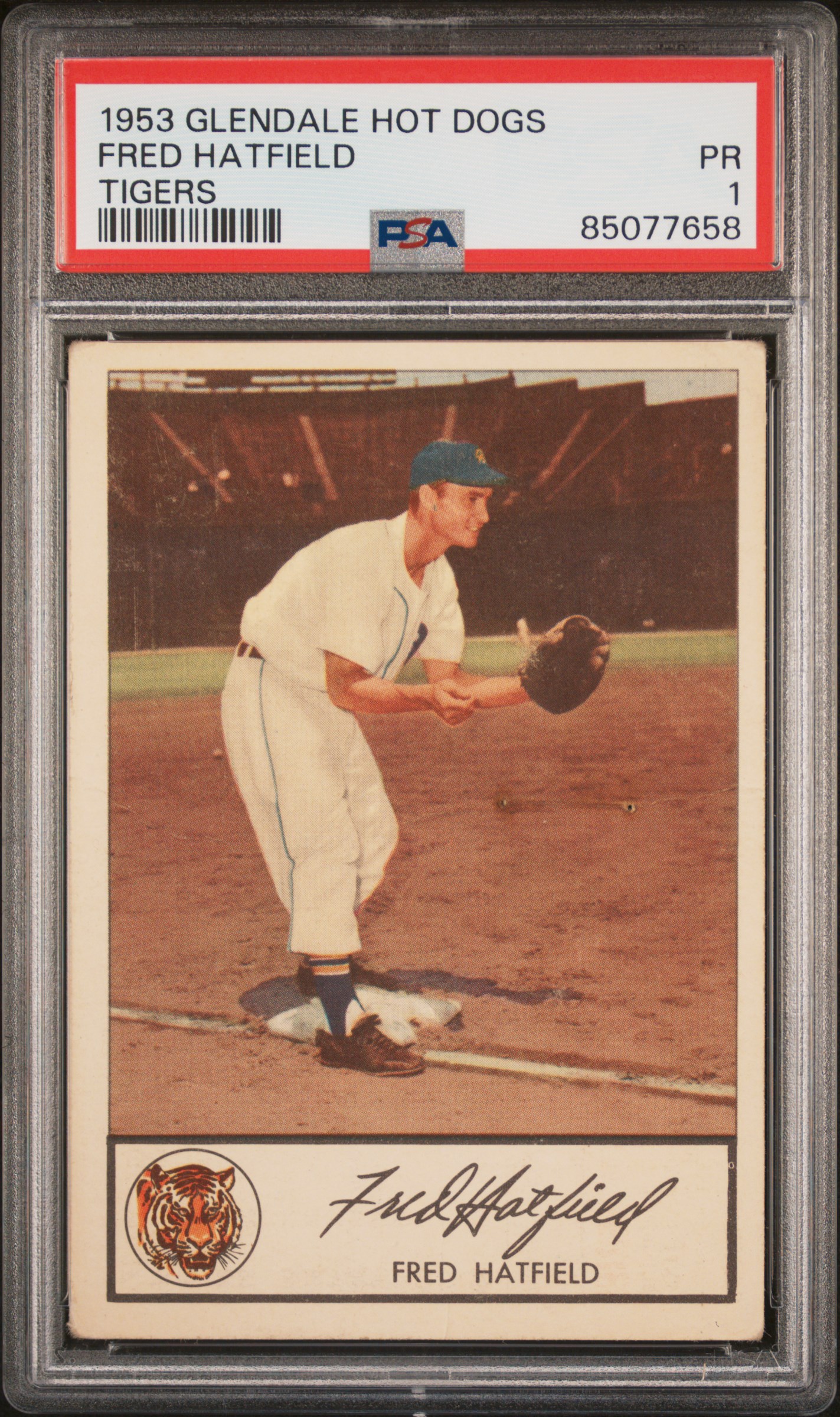 1953 GLENDALE HOT DOGS TIGERS FRED HATFIELD TIGERS