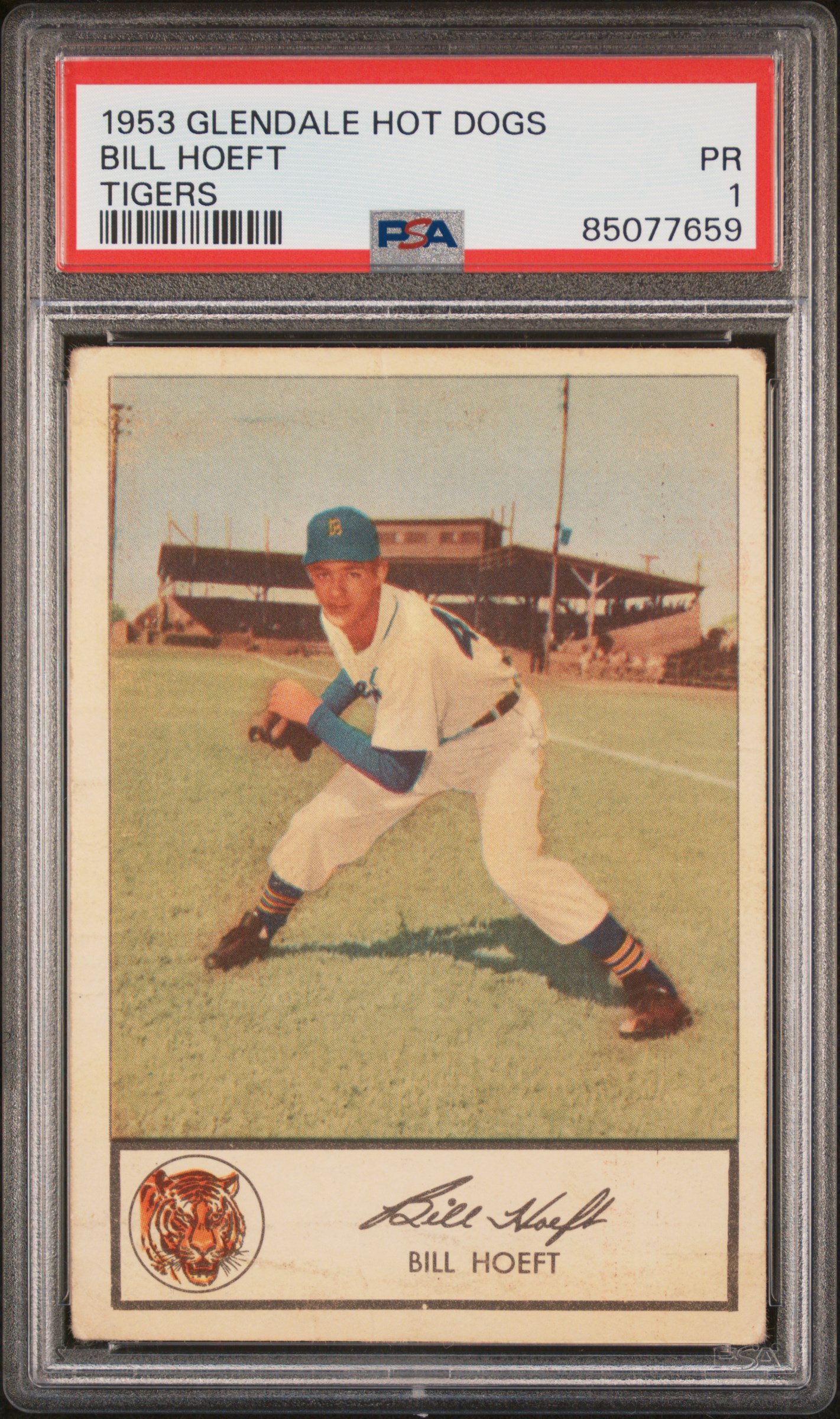 1953 GLENDALE HOT DOGS TIGERS BILL HOEFT TIGERS
