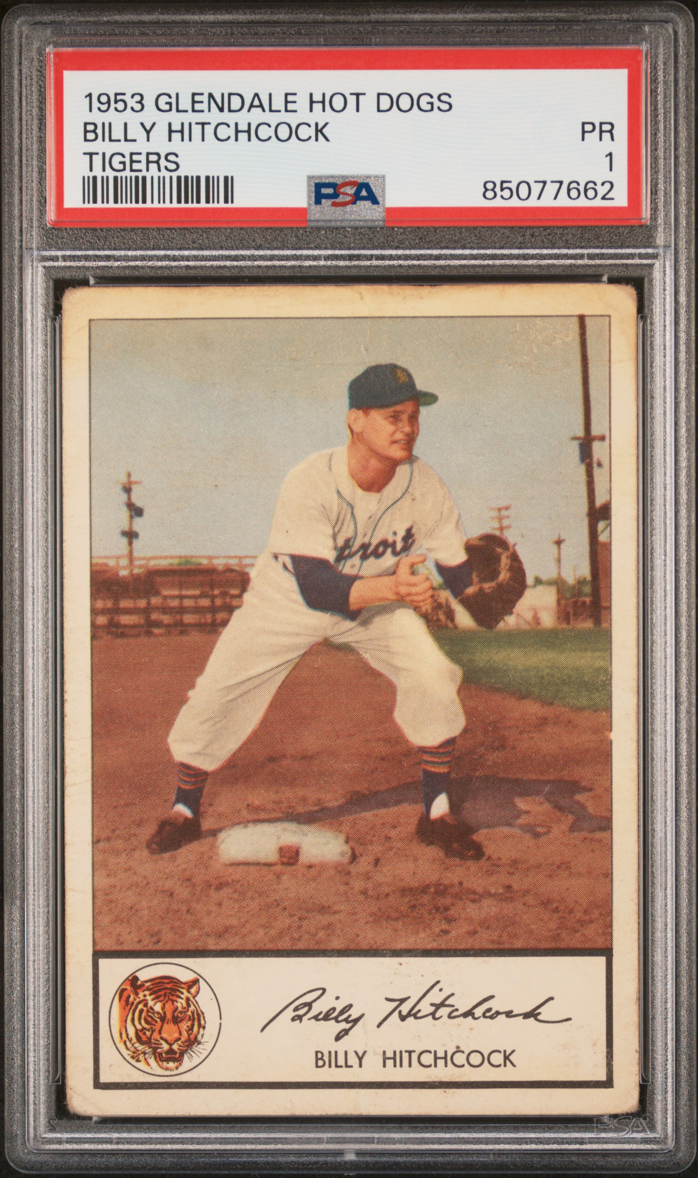 1953 GLENDALE HOT DOGS TIGERS BILLY HITCHCOCK TIGERS