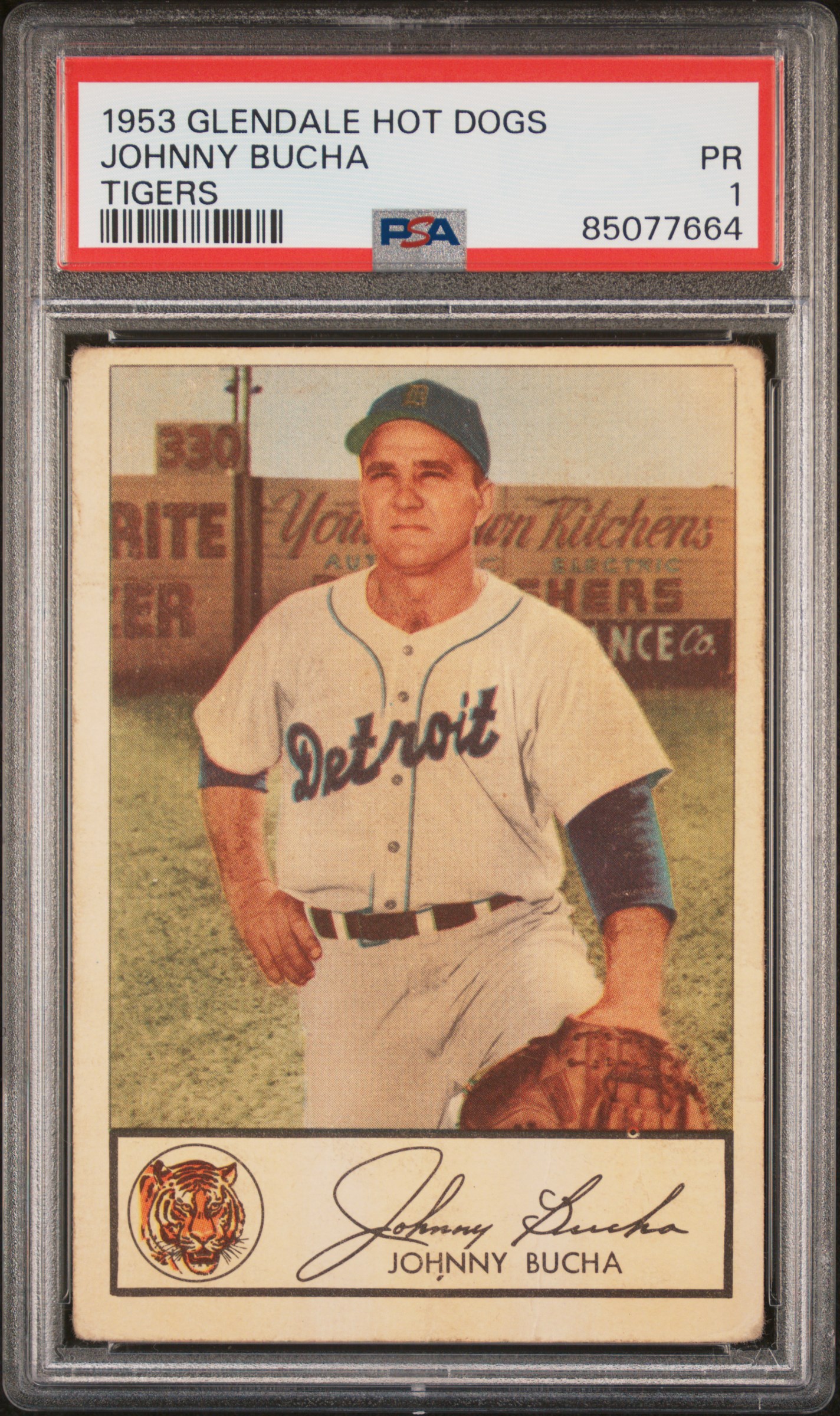 1953 GLENDALE HOT DOGS TIGERS JOHNNY BUCHA TIGERS