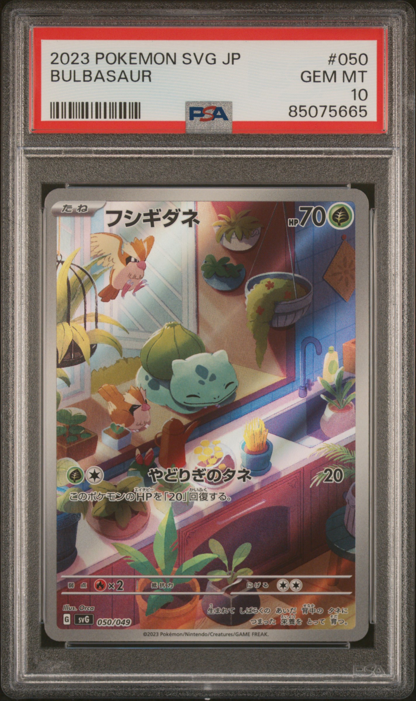 2023 POKEMON JAPANESE SVG-VENUSAUR & CHARIZARD & BLASTOISE SPECIAL DECK SET EX #050 BULBASAUR