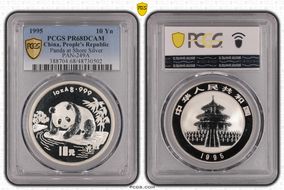 1995 10 Yn Panda at Shore Silver PAN-249A PR68DCAM