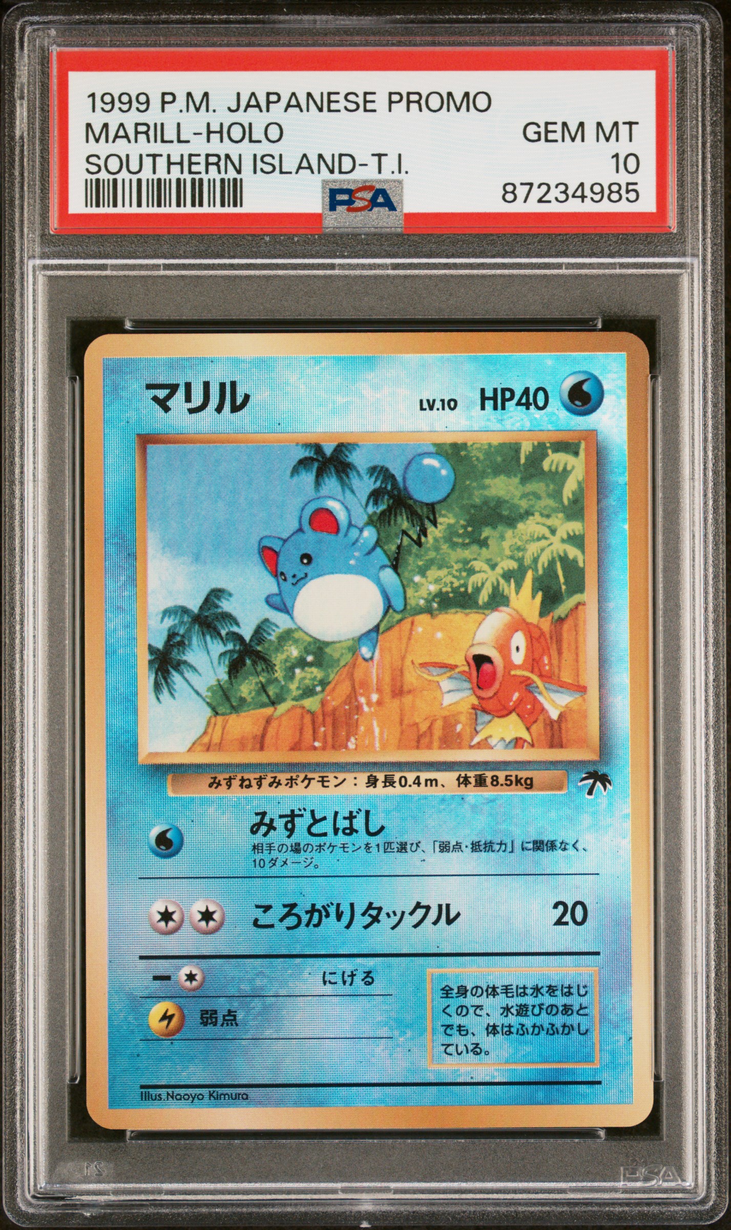 1999 Pokemon Japanese Promo Southern Islands Southern Island-T.I. Marill-Holo – PSA GEM MT 10