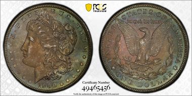 1900 $1 VAM 24 Doubled Wing MS66