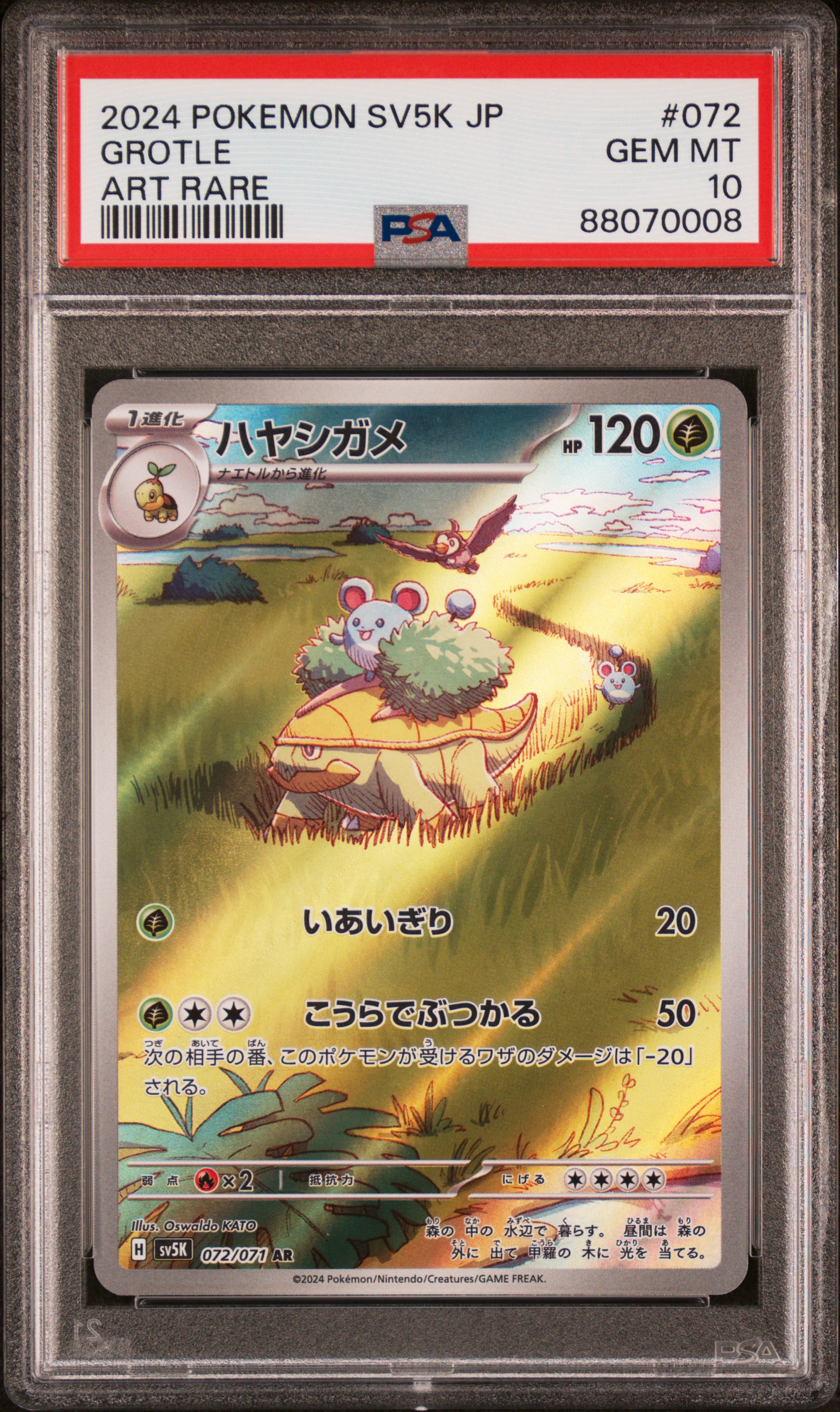 2024 Pokemon Japanese Sv5K-Wild Force Art Rare #072 Grotle – PSA GEM MT 10
