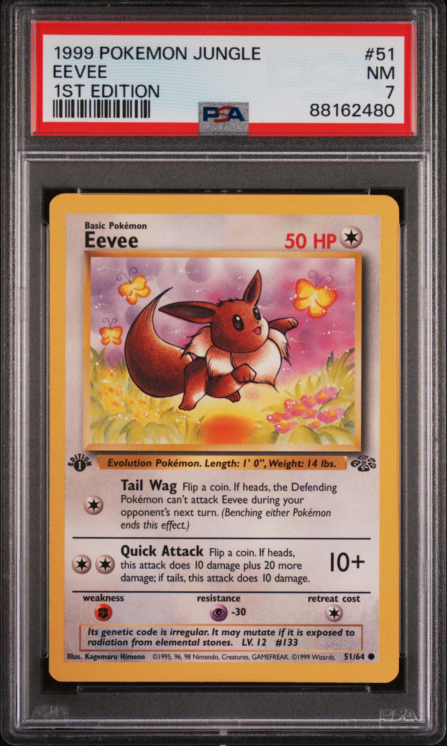 1999 Pokemon Jungle 1st Edition #51 Eevee – PSA NM 7