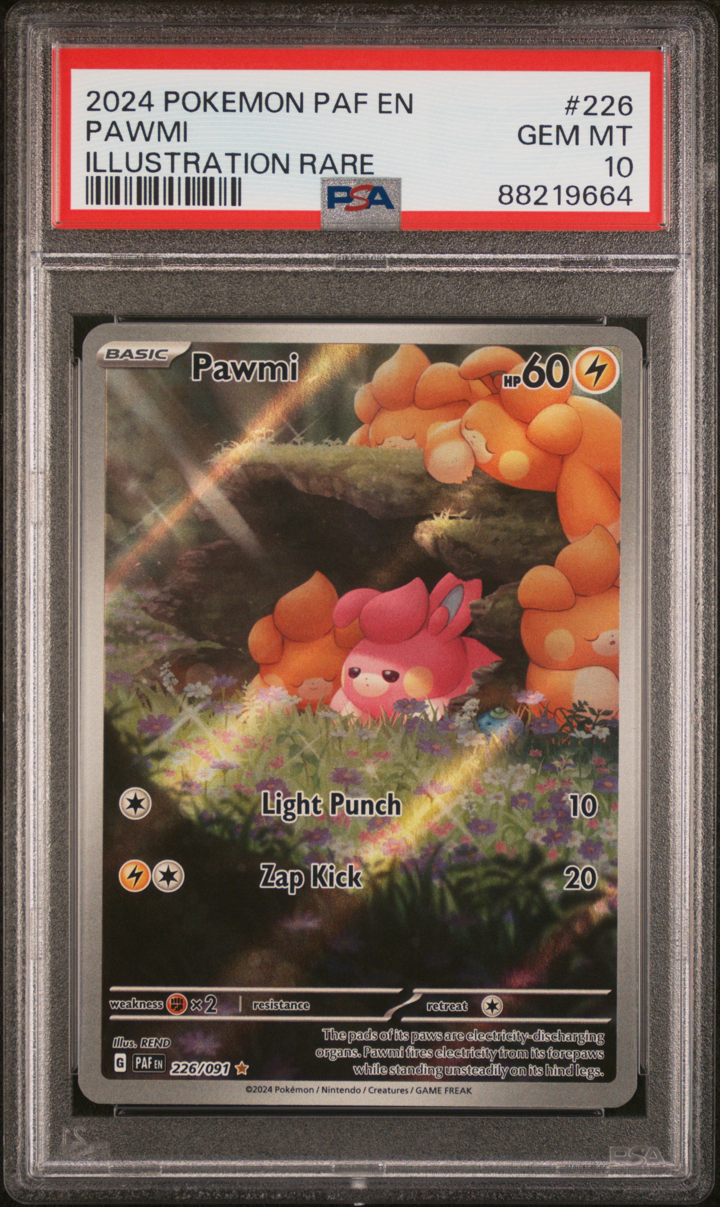 2024 Pokemon Paf En-Paldean Fates Illustration Rare 226 Pawmi – PSA GEM MT 10