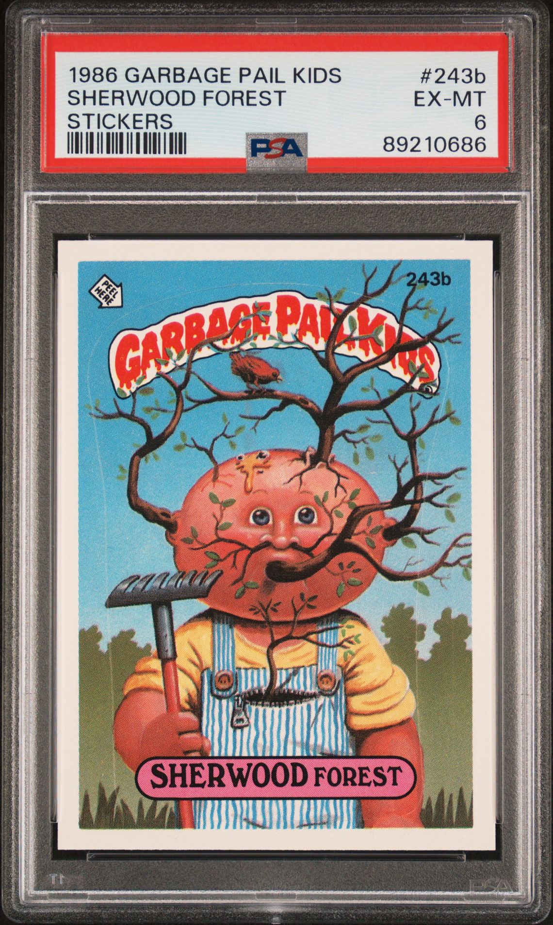 Sherwood Forest PSA 6