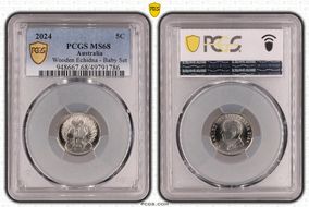 2024 5C Wooden Echidna - Baby Set MS68