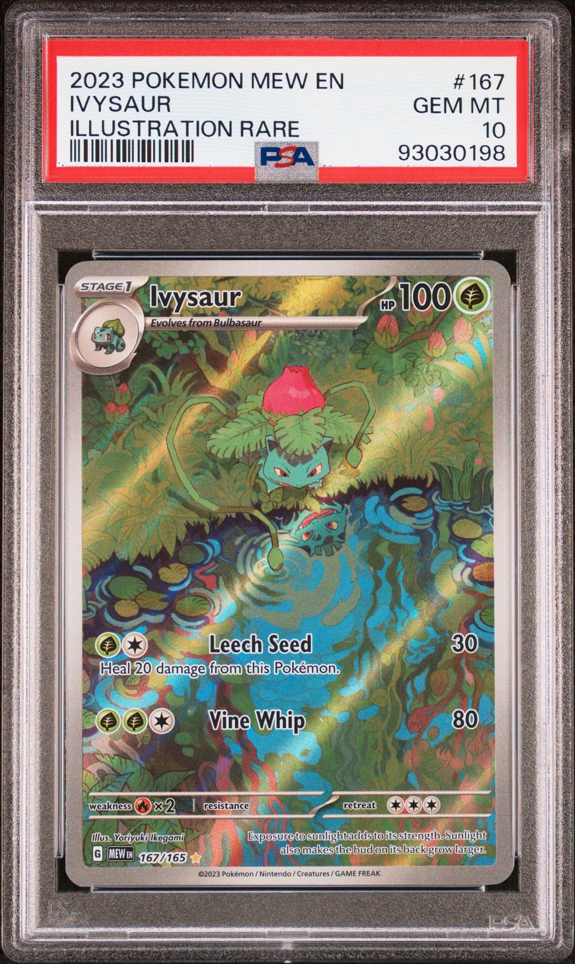 2023 Pokemon POKEMON MEW EN-151 ILLUSTRATION RARE #167 Ivysaur front