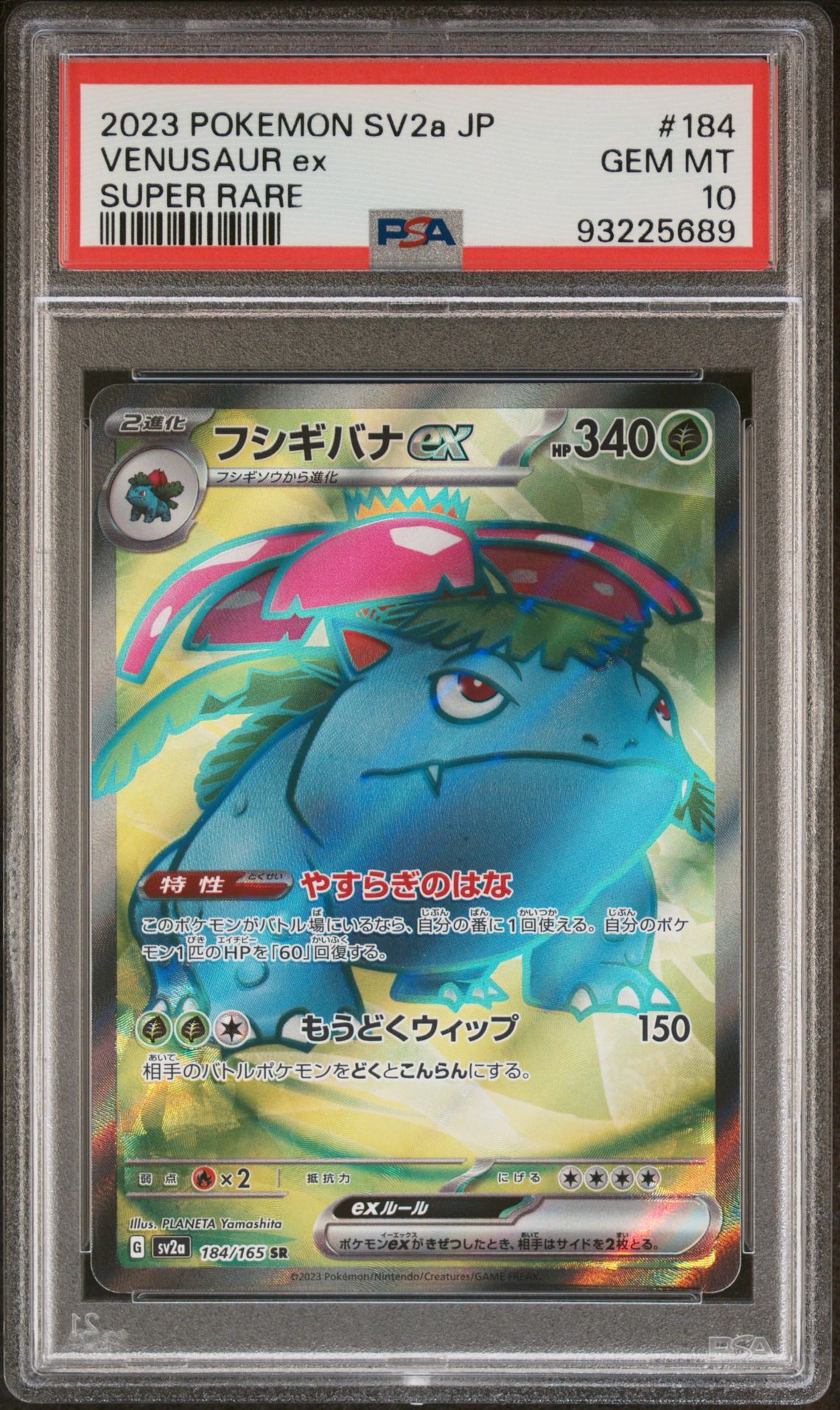 2023 Pokemon Japanese Sv2A-Pokemon 151 Venusaur Ex #184 (Super Rare) Gem Mt 10 front view - PSA graded GEM MT 10