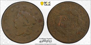 1817 1C 13 Stars N1BN