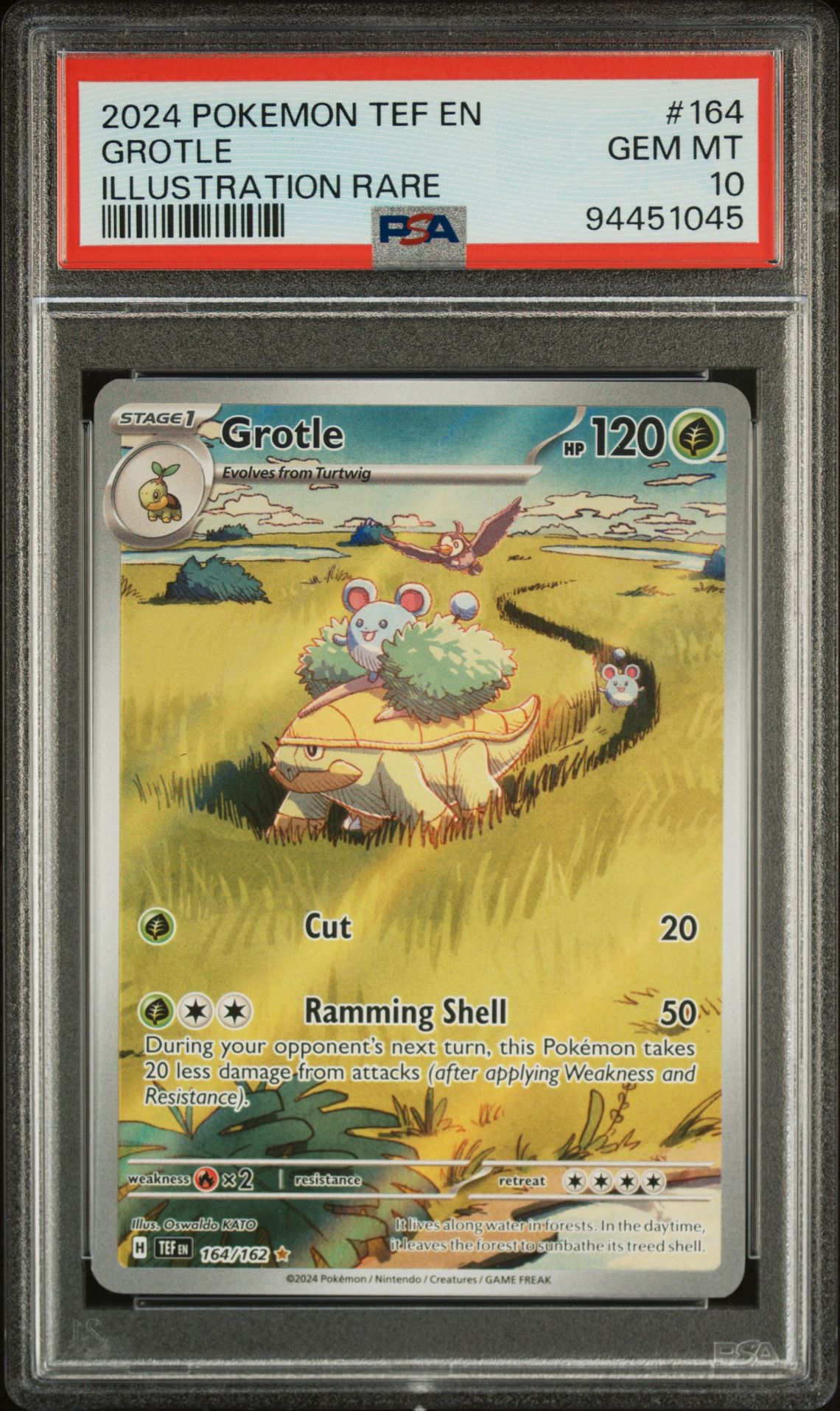 2024 Pokemon Tef En-Temporal Forces Grotle #164 (Illustration Rare) Gem Mt 10 front