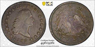 1795 $1 Flowing Hair, 2 Leaves XF45