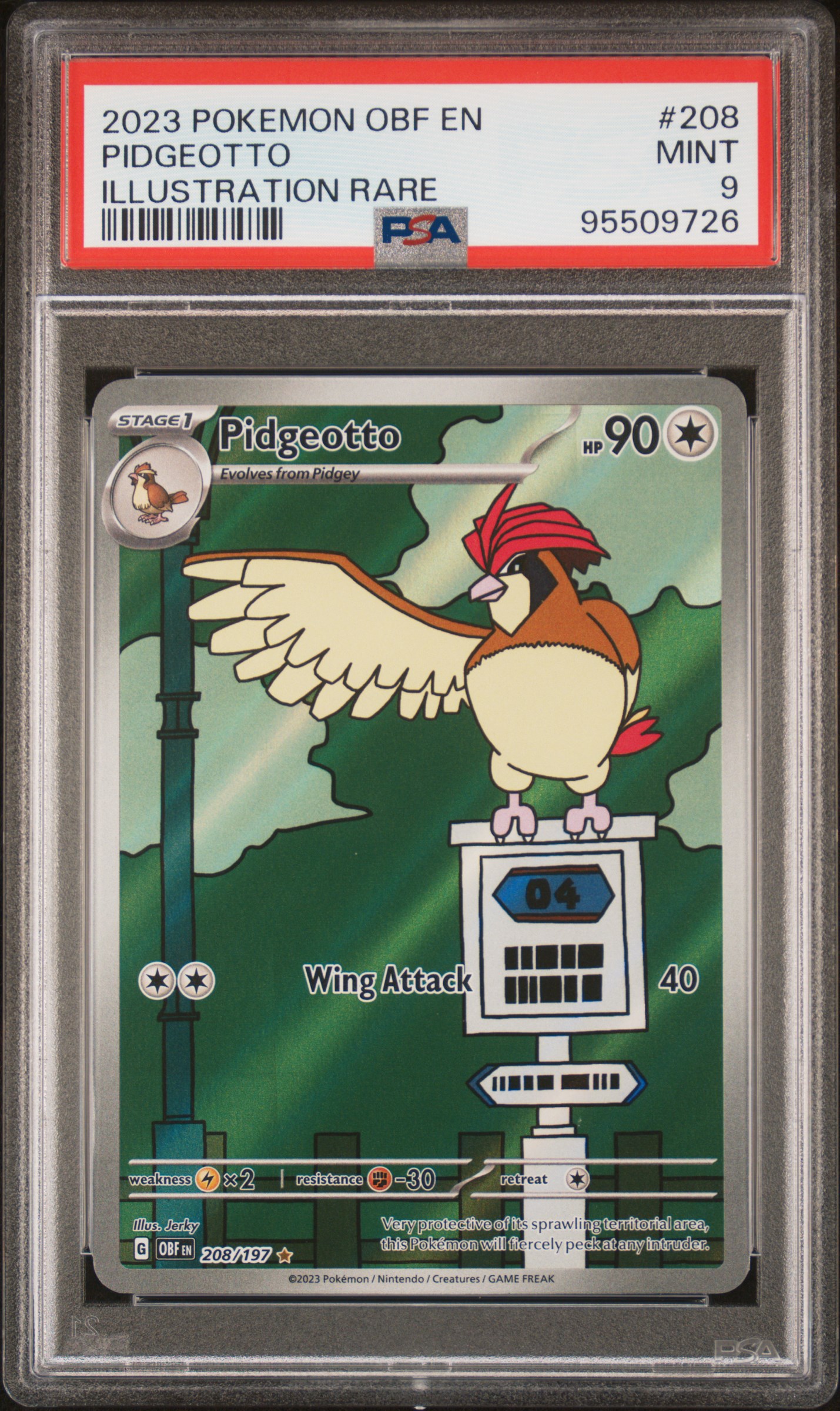 2023 Pokemon Obf En-Obsidian Flames Pidgeotto #208 (Illustration Rare) Mint 9 front