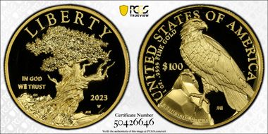 2023-W $100 American Liberty High Relief .9999 Fine PR70DCAM