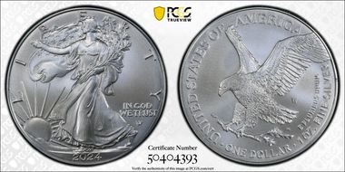 2024-W $1 Burnished Silver Eagle SP69