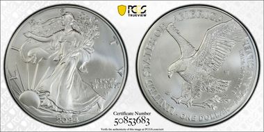 2024-W $1 Burnished Silver Eagle SP69