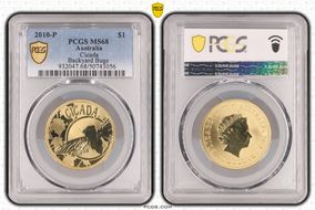 2010-P $1 Cicada Backyard Bugs MS68