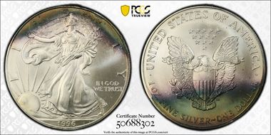 1996 $1 Silver Eagle MS67