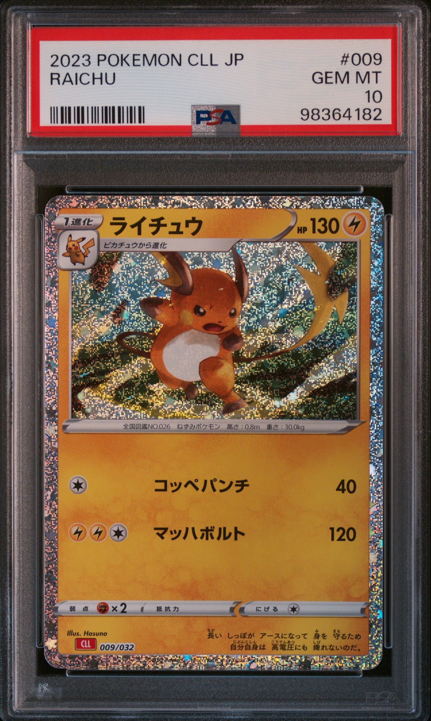 RAICHU front