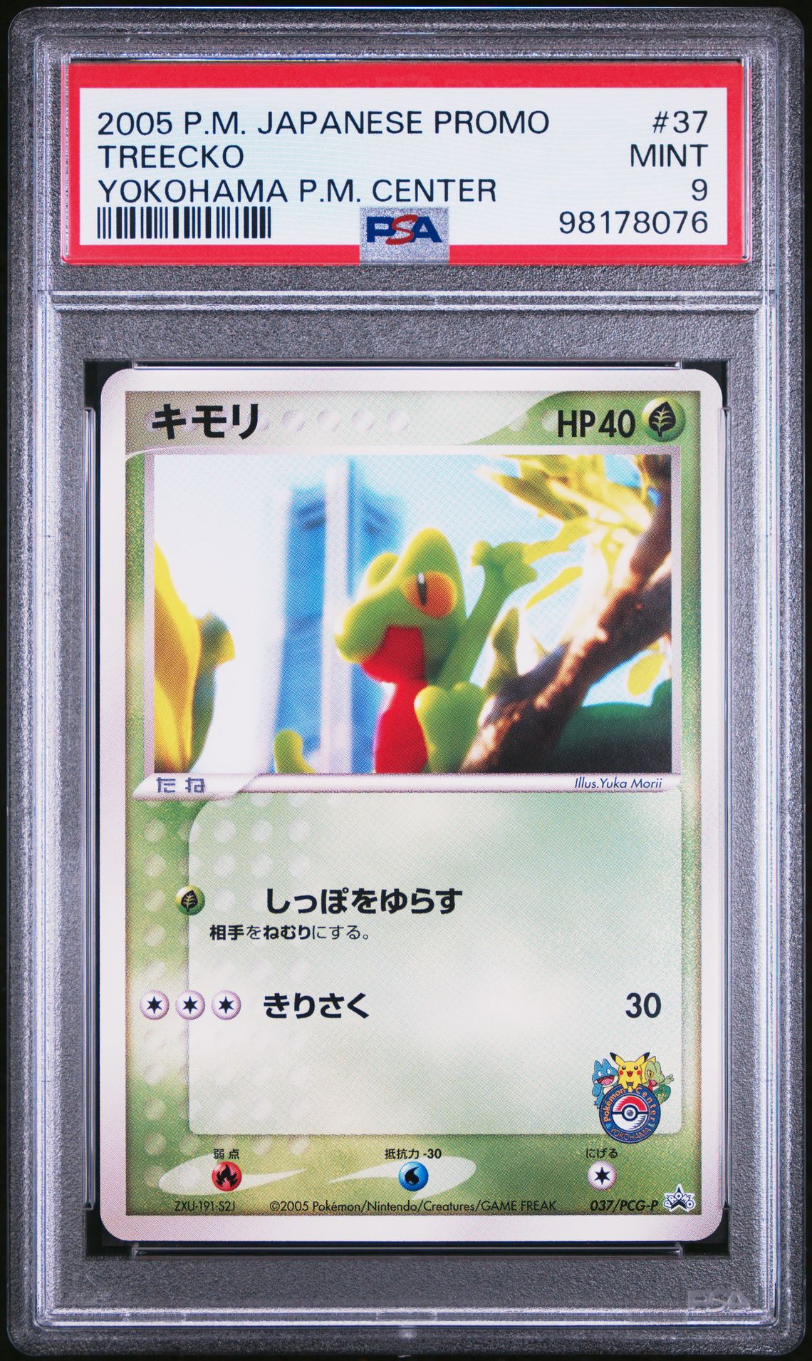 2005 Pokemon POKEMON JAPANESE PROMO YOKOHAMA P.M. CENTER #37 Treecko front