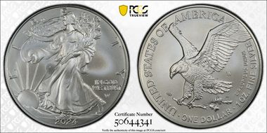 2024-W $1 Burnished Silver Eagle SP69