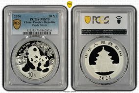 2024 10 Yn Panda Silver MS70