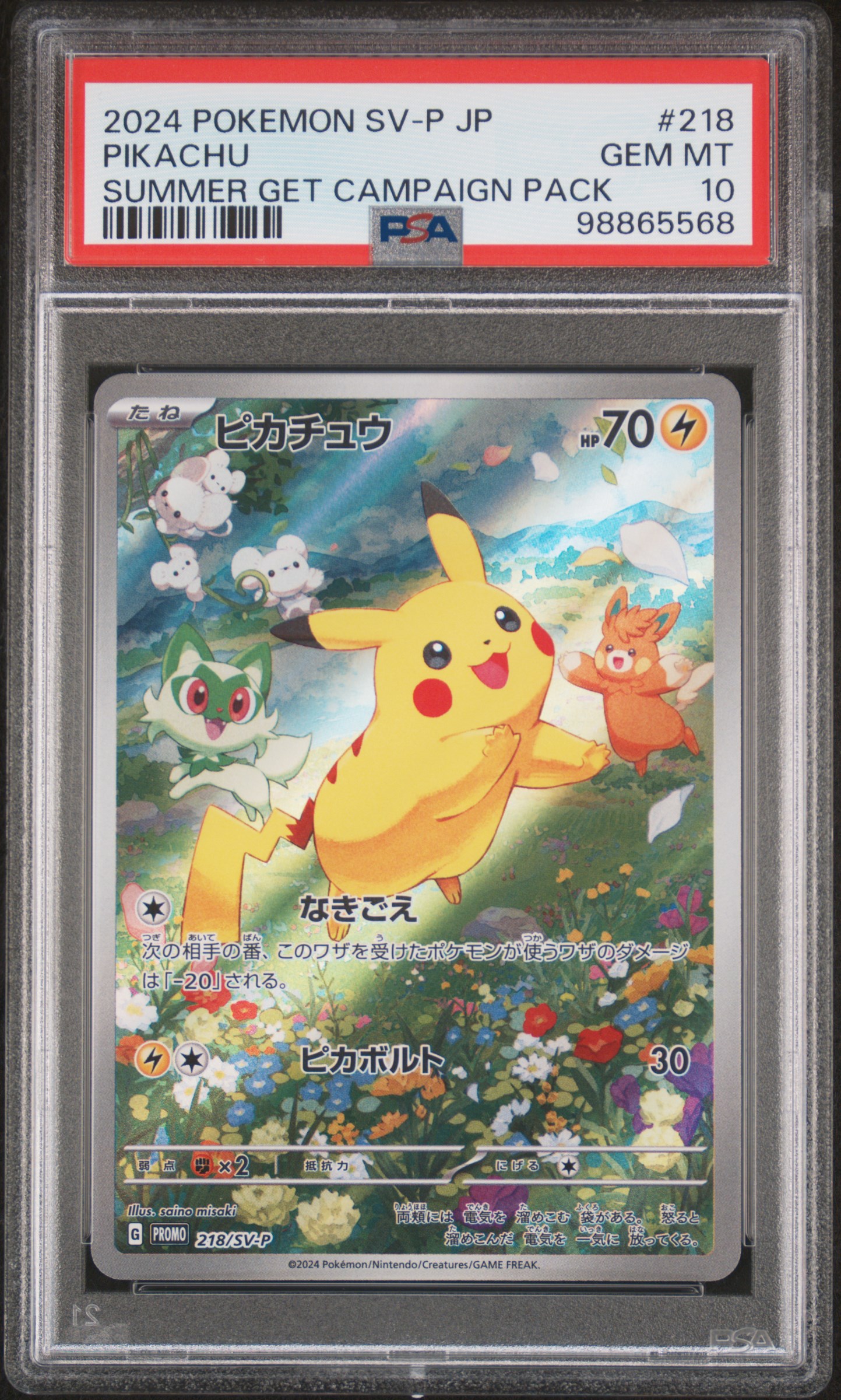 Pikachu (Summer Get Campaign), 218/SV-P