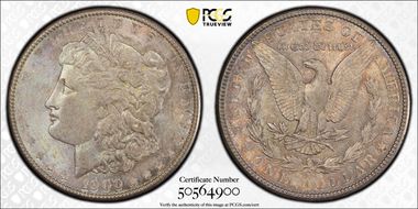 1900 $1 VAM 24 Doubled Wing MS64