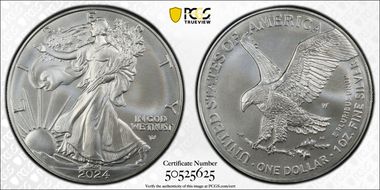 2024-W $1 Burnished Silver Eagle SP70