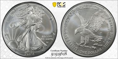 2024-W $1 Burnished Silver Eagle SP70