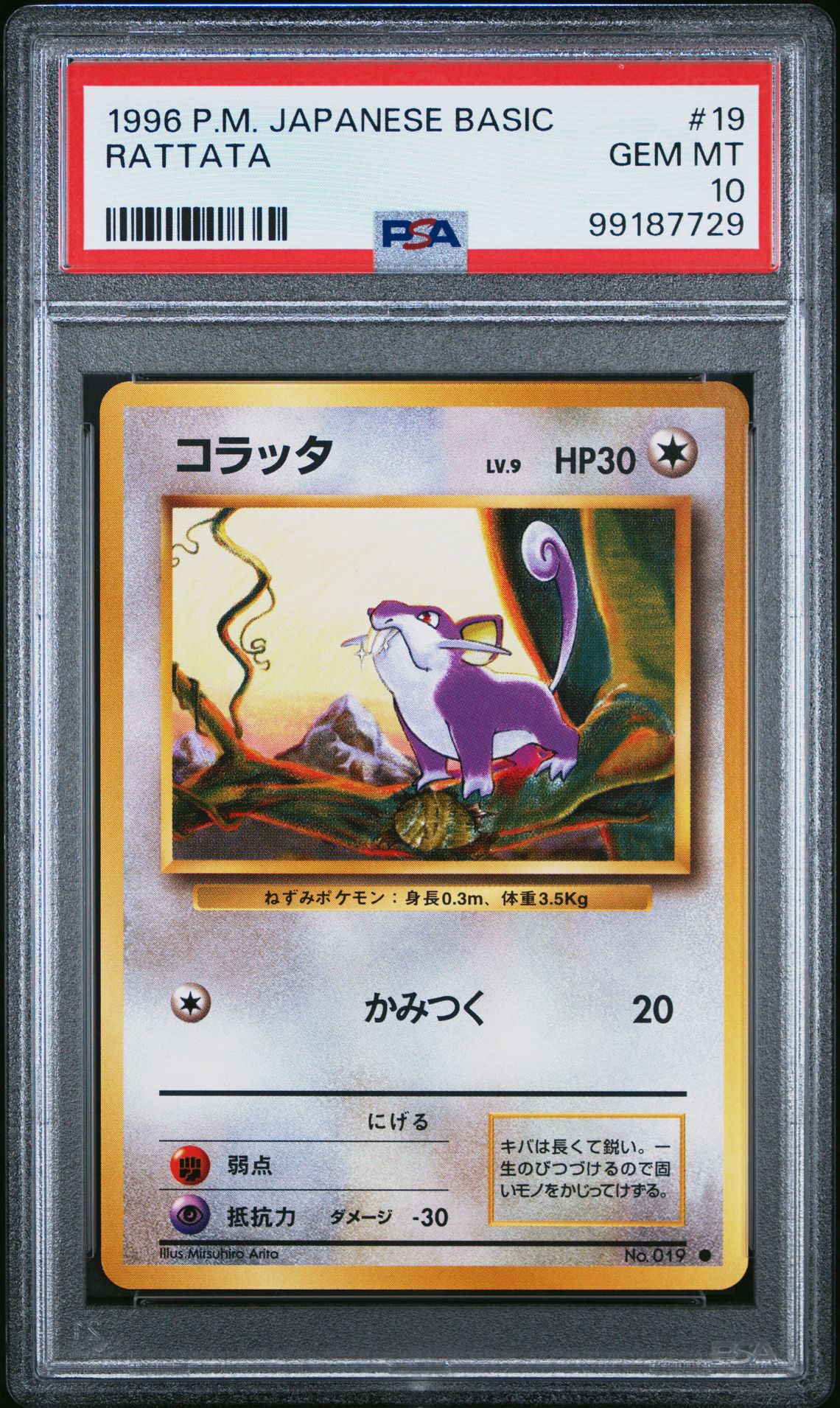 1996 Pokemon POKEMON JAPANESE BASIC #19 Rattata front