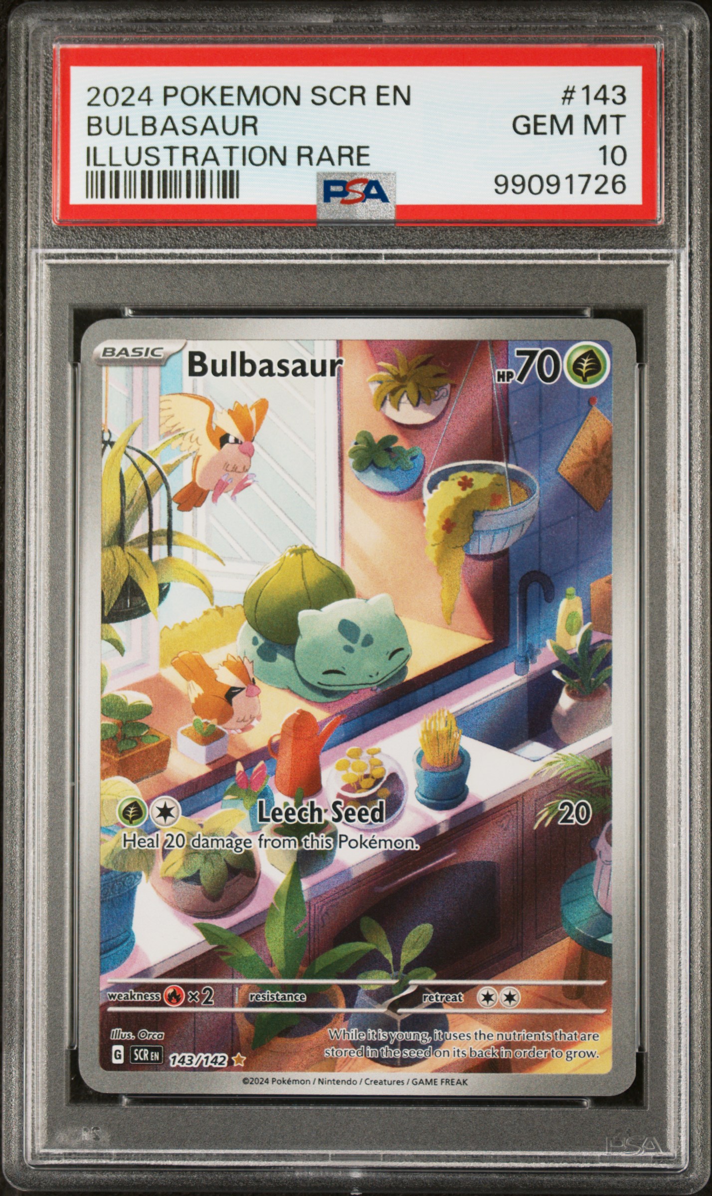 2024 #143 Bulbasaur PSA 10 Scr EN-Stellar Crown
