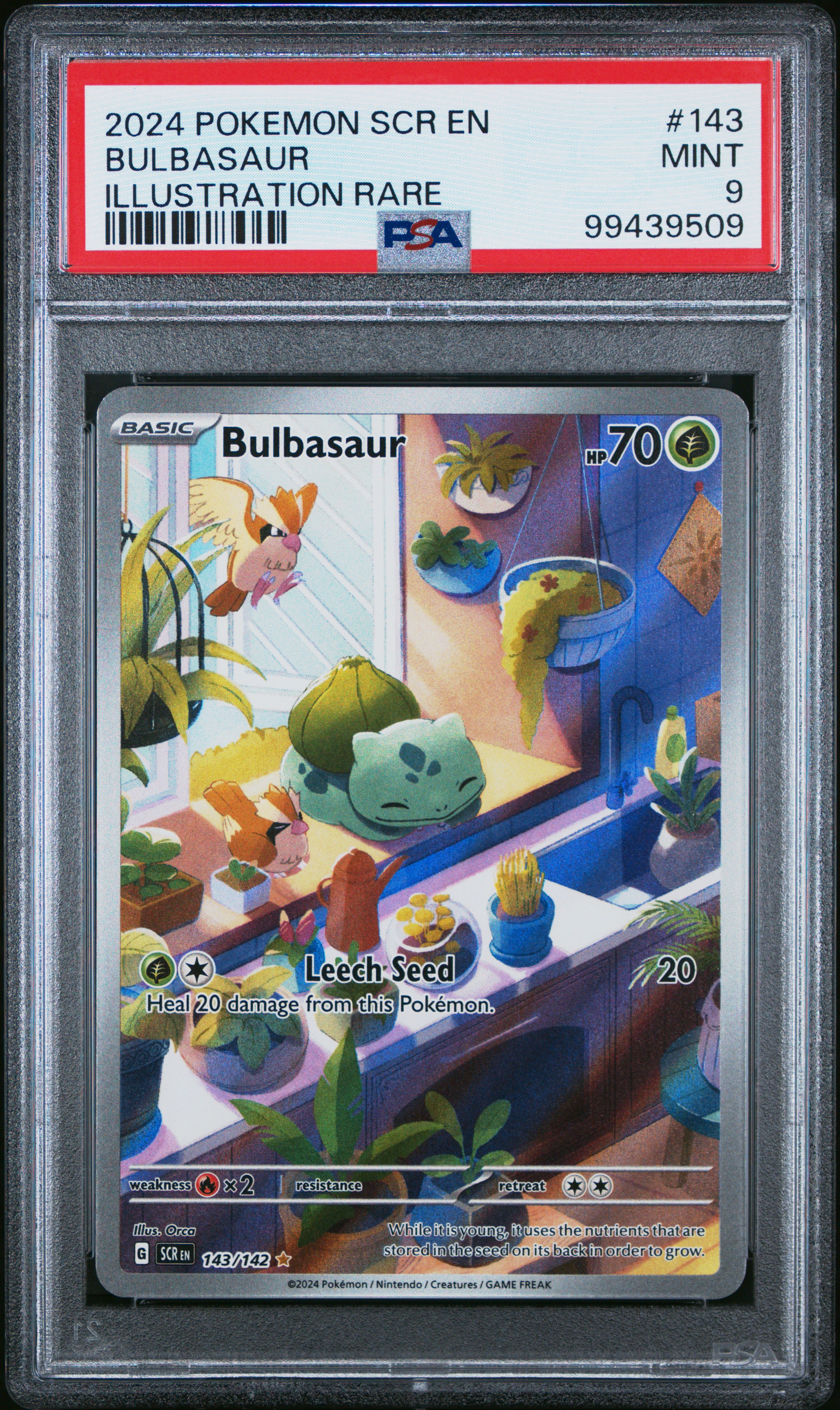 2024 Pokemon Scr En-Stellar Crown Bulbasaur #143 (Illustration Rare) Mint 9 front