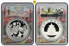 2025 10 Yn Panda Silver Panda 2024 flower, FDoI (L#372) MS70