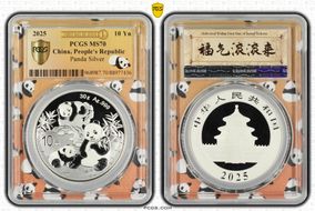 2025 10 Yn Panda Silver Panda 2023 Yellow Lbl, FDoI (L#355) MS70