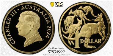 2024 $1 Dan Thorne Effigy PR70DCAM