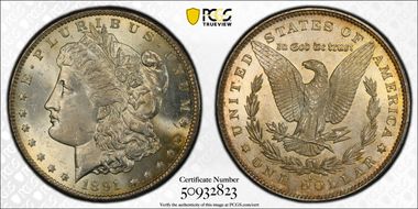 1891-CC $1 VAM 3, Spitting Eagle MS64