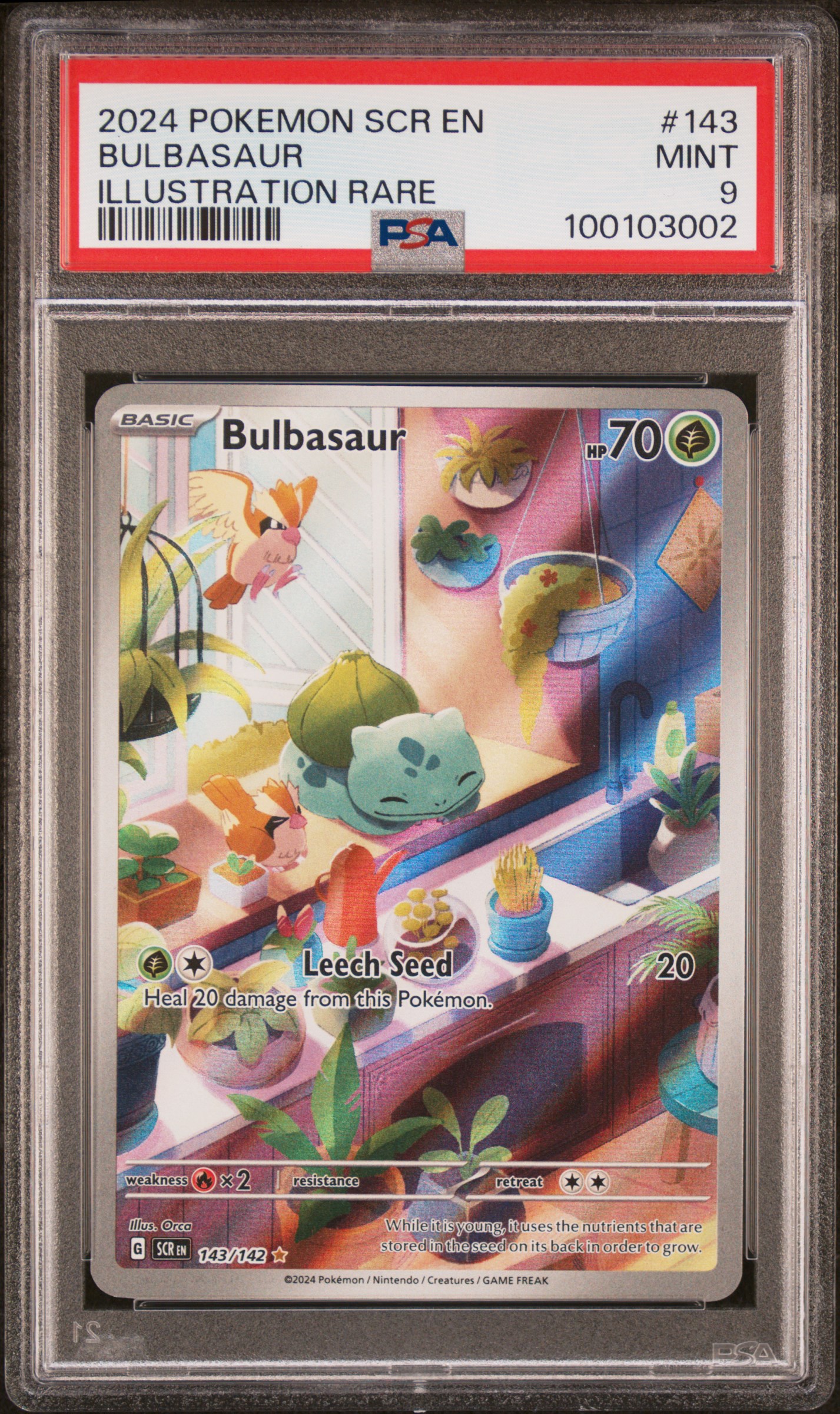 2024 Pokemon Scr En-Stellar Crown Bulbasaur #143 (Illustration Rare) Mint 9 front