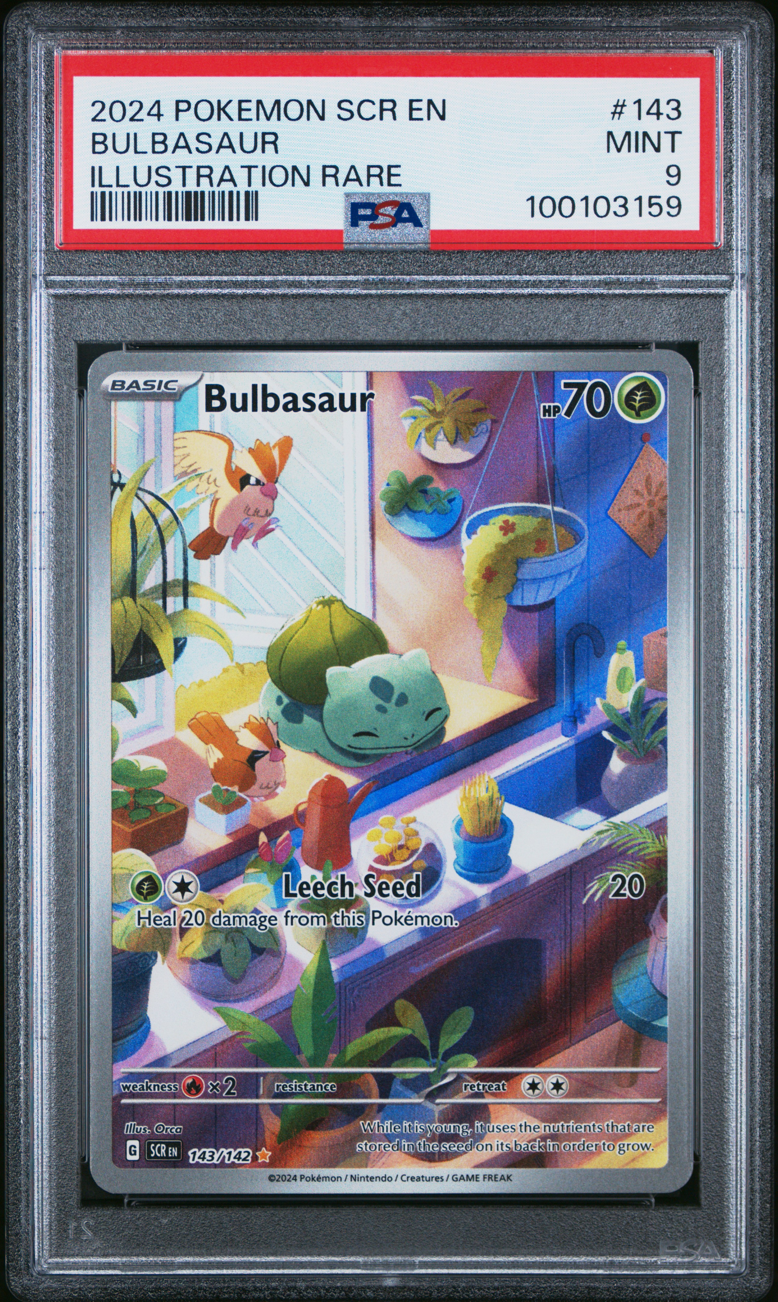 2024 Pokemon Scr En-Stellar Crown Bulbasaur #143 (Illustration Rare) Mint 9 front