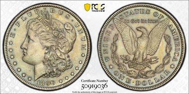 1896 $1 MS63