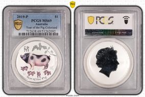 2019-P $1 Year of the Pig Ag Colorized MS69
