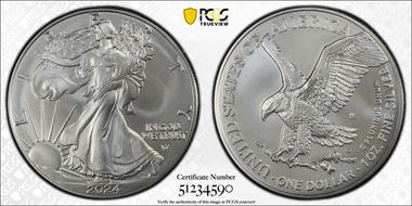 2024-W $1 Burnished Silver Eagle First Strike SP69