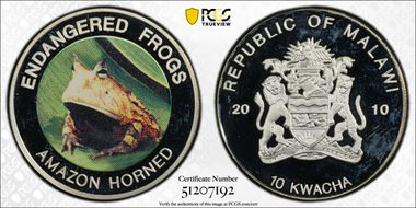 2010 10 Kw Amazon Horned Silvered CuNi, Colorized PR66DCAM